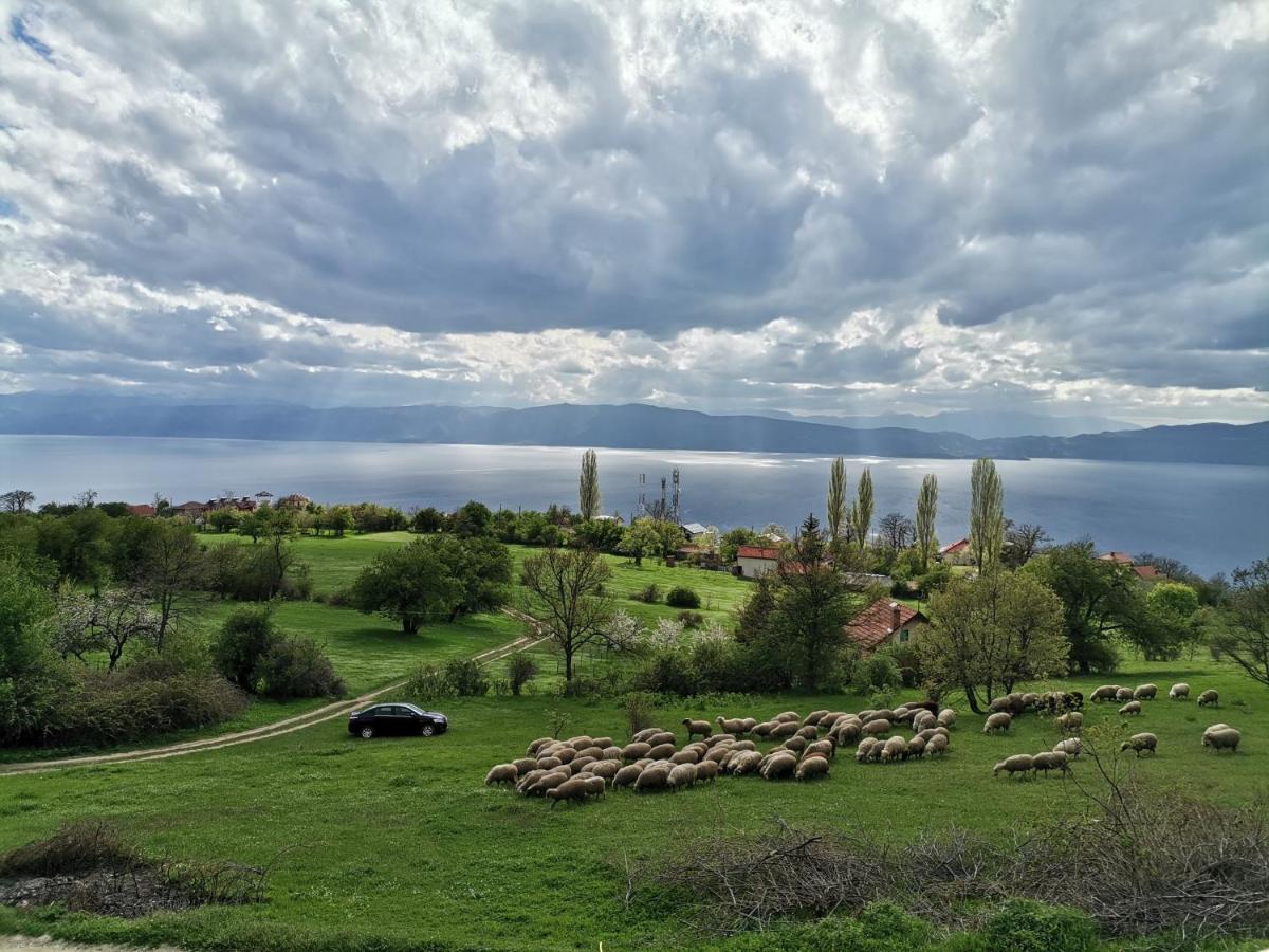 Villa Grkasha Ohrid Exteriör bild